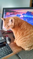 img_20141212_110527255_hdr