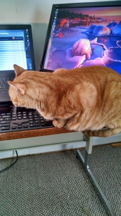 img_20141212_110634096_hdr